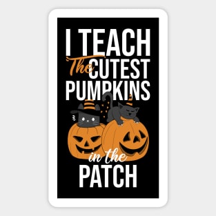 I Teach The Cutest Pumpkins In The Patch Fall Season Cute Cats Magnet